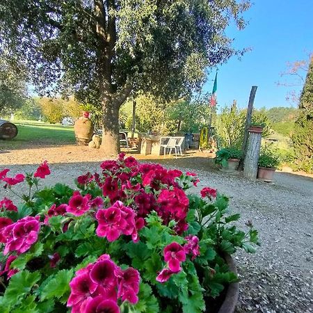 Azienda Agricola Polveraia San Gimignano Eksteriør bilde