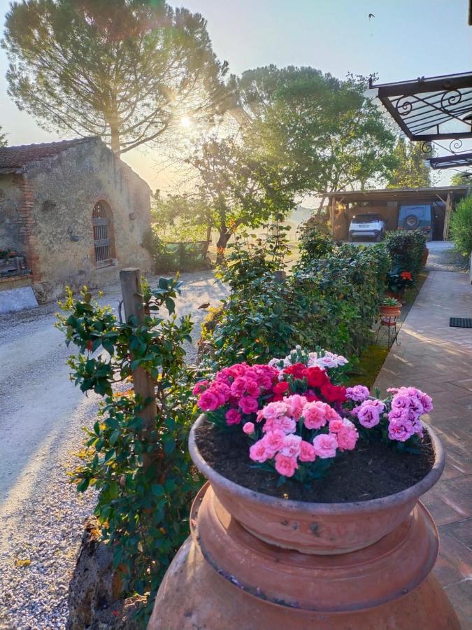 Azienda Agricola Polveraia San Gimignano Eksteriør bilde
