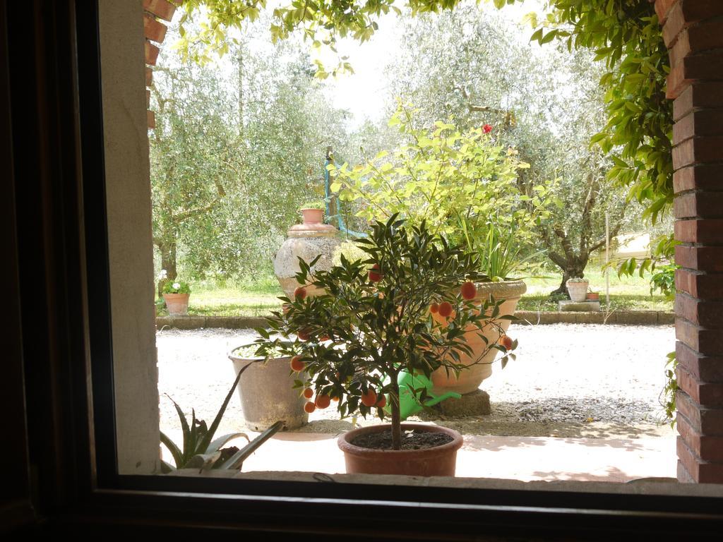 Azienda Agricola Polveraia San Gimignano Eksteriør bilde