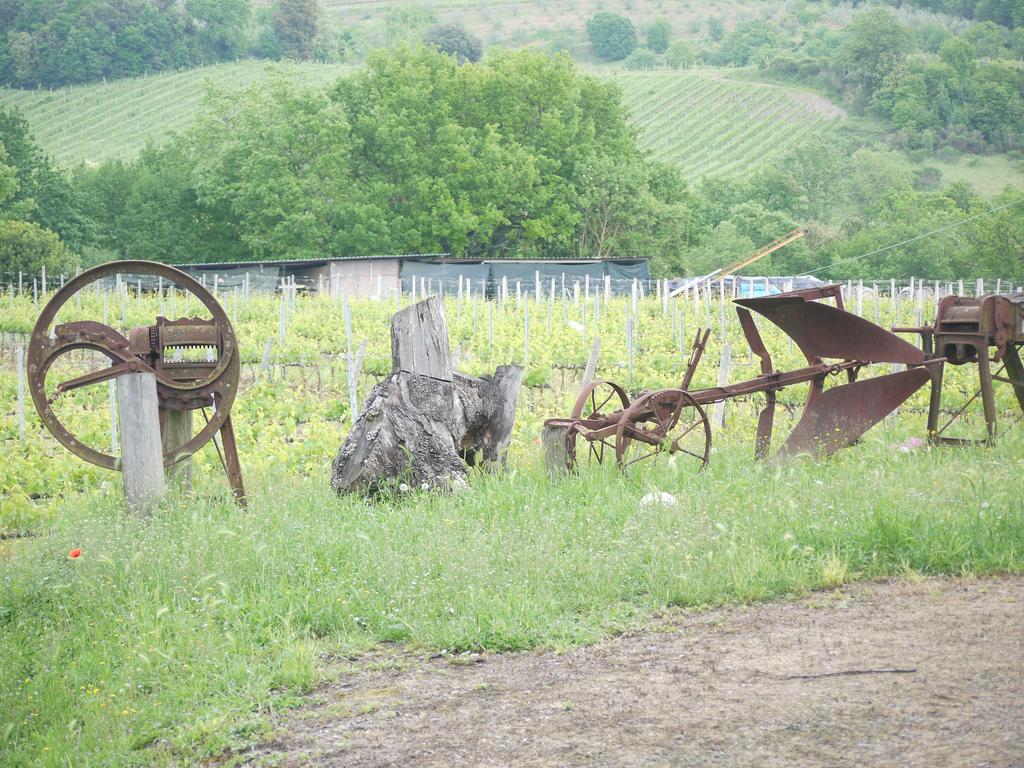 Azienda Agricola Polveraia San Gimignano Eksteriør bilde