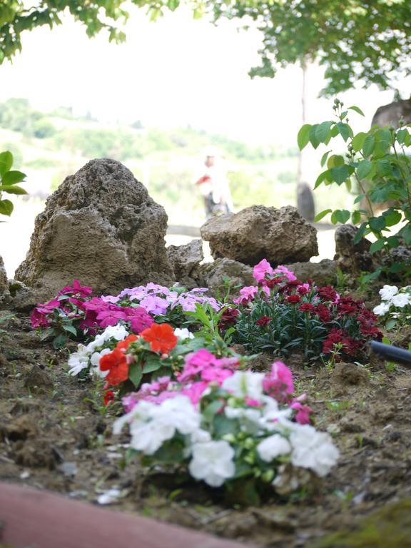 Azienda Agricola Polveraia San Gimignano Eksteriør bilde