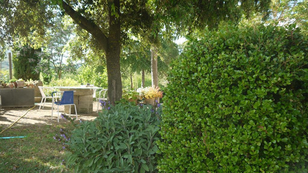 Azienda Agricola Polveraia San Gimignano Eksteriør bilde