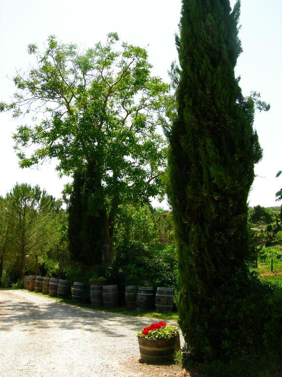 Azienda Agricola Polveraia San Gimignano Eksteriør bilde