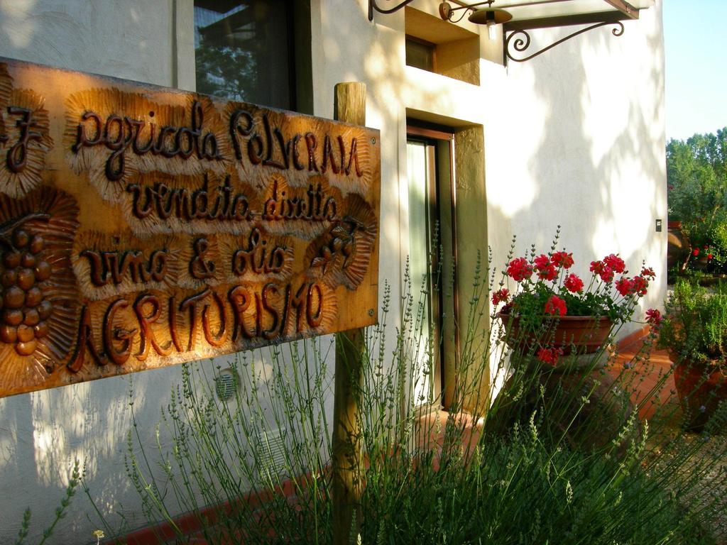 Azienda Agricola Polveraia San Gimignano Eksteriør bilde