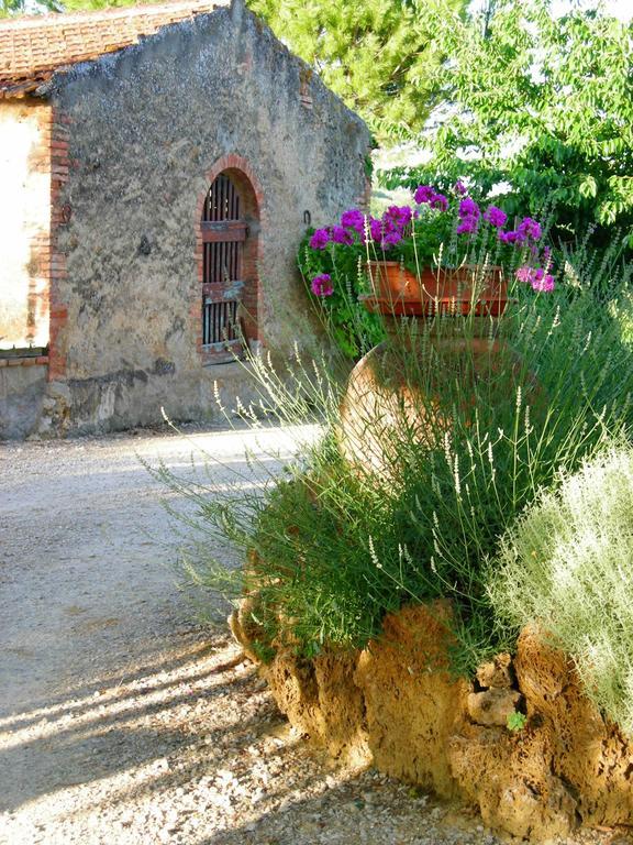 Azienda Agricola Polveraia San Gimignano Eksteriør bilde