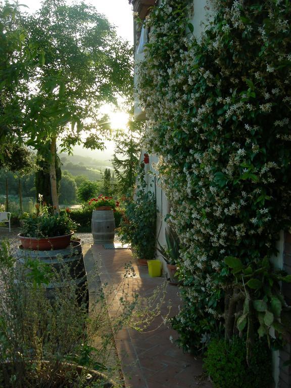 Azienda Agricola Polveraia San Gimignano Eksteriør bilde