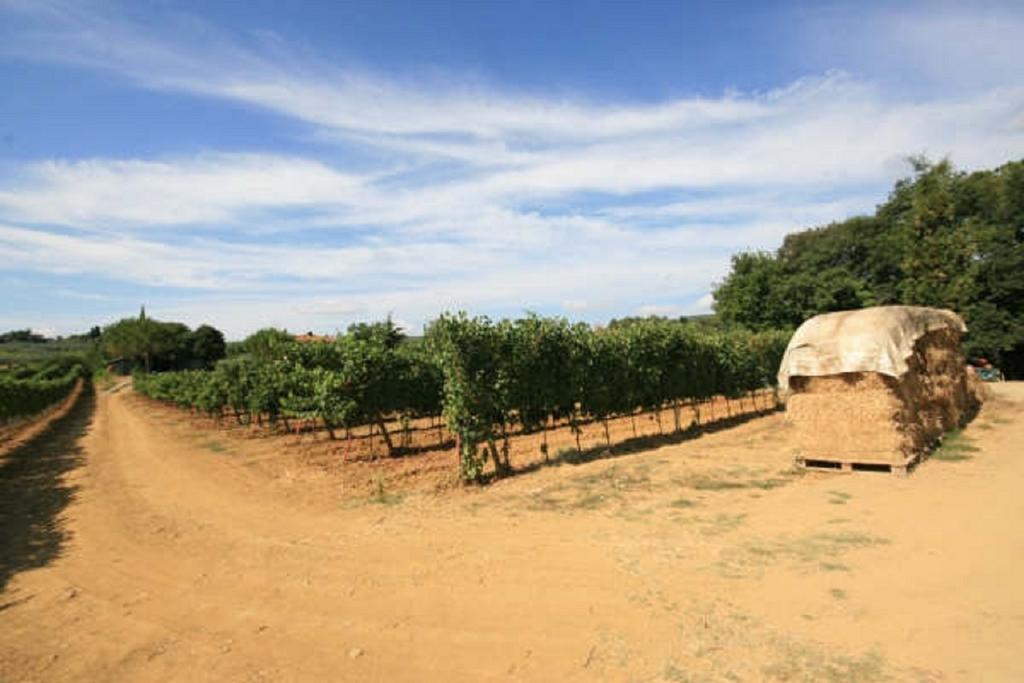 Azienda Agricola Polveraia San Gimignano Eksteriør bilde